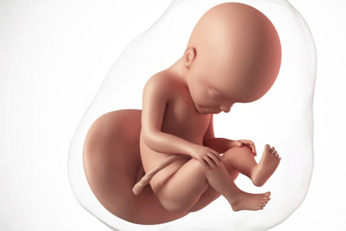 Week 27 zwangerschapskalender: Wat gebeurt er deze week?